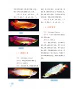 ȫ�Ꭷ�~��B�փ�